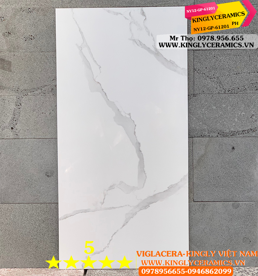 Gạch ốp tường Viglacera 60x120 NY12 GP61201